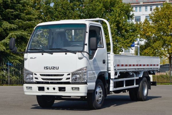 China Qingling Isuzu 100p Cargo Truck Diesel 4X2 Double Cabine 120 130 Horse-power 3.6 Meters Single Row Pallet Light Truck Dump