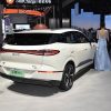 2025 BYD Sea Lion 06