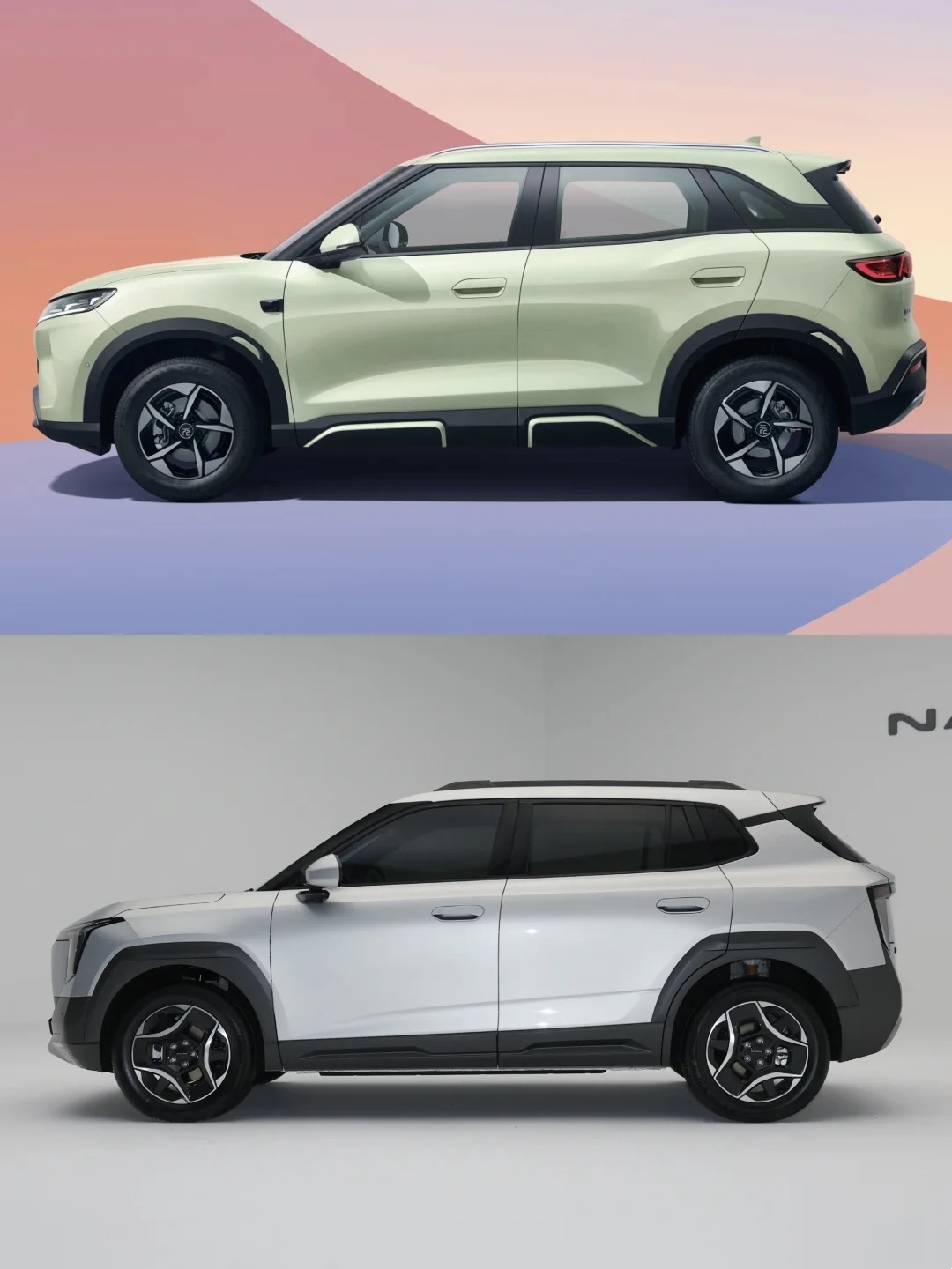 Dongfeng nammi 06