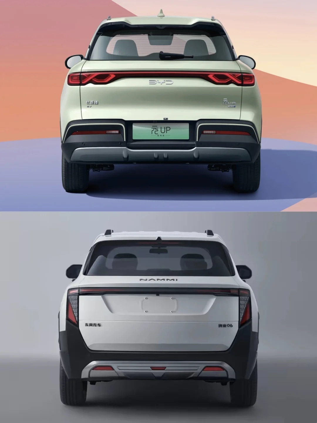 Dongfeng nammi 06