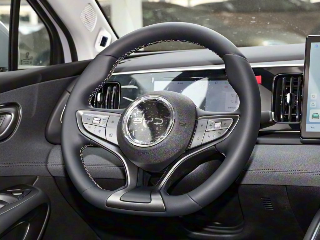 2025 BYD Sea Lion 06