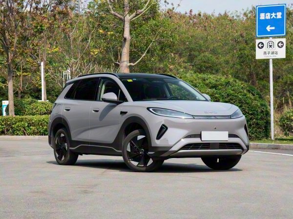 2025 BYD Sea Lion 06