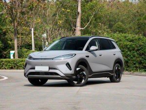 2025 BYD Sea Lion 06