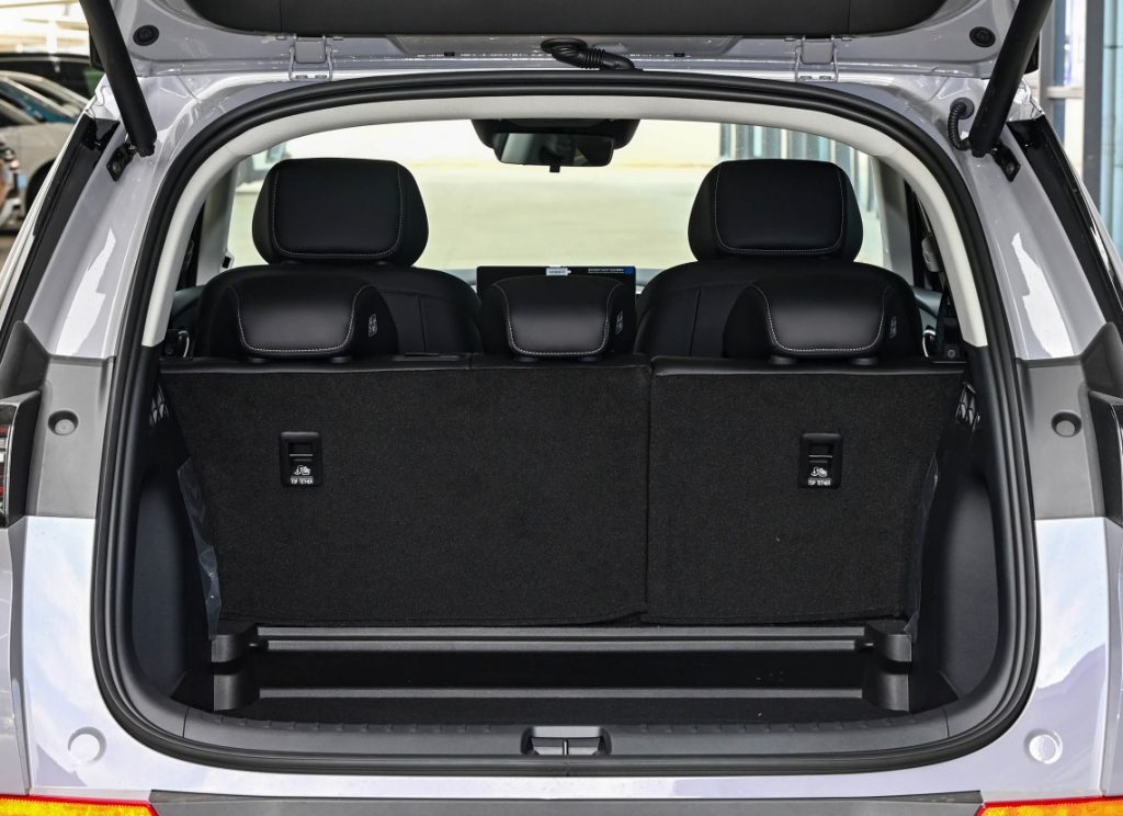 2025 BYD Sea Lion 06