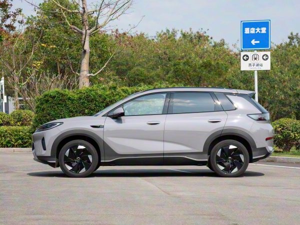 2025 BYD Sea Lion 06