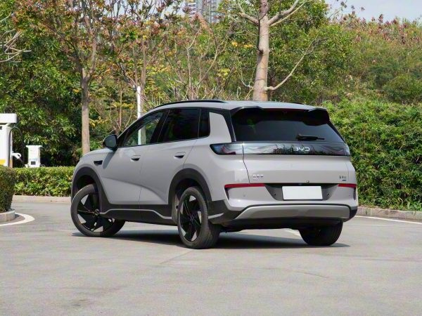 2025 BYD Sea Lion 06