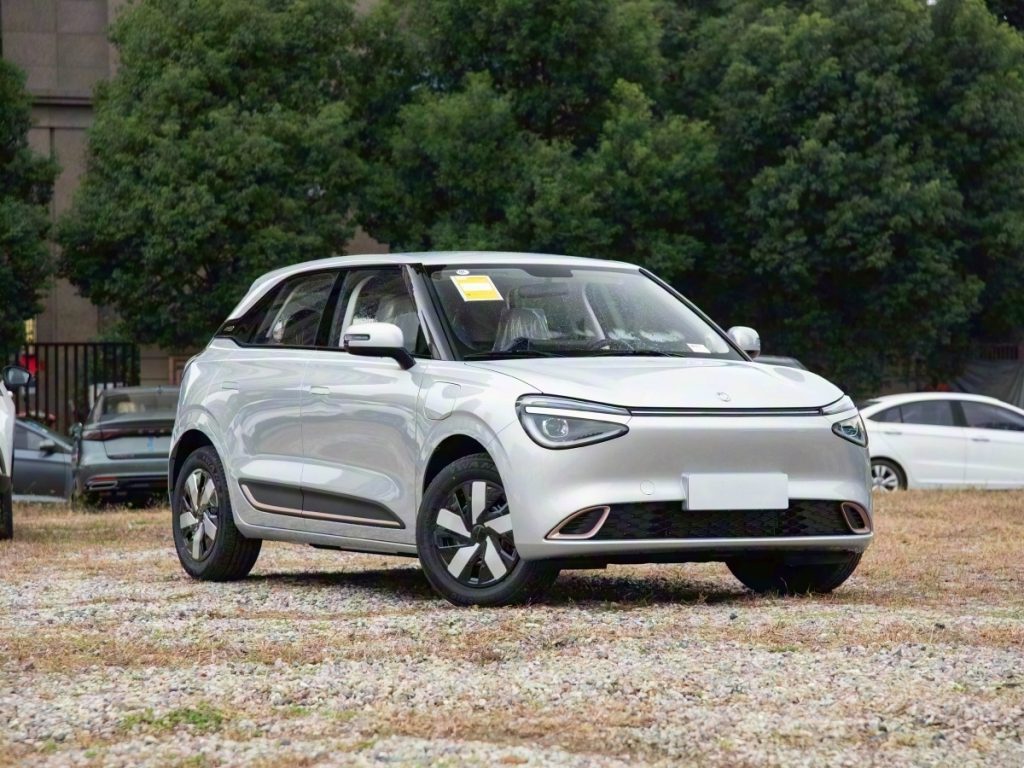 2026 Dongfeng Nammi 01